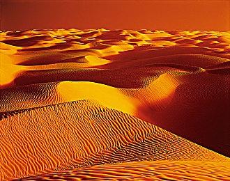 《荒野大镖客：救赎》PS4和Switch分辨率、帧数分析